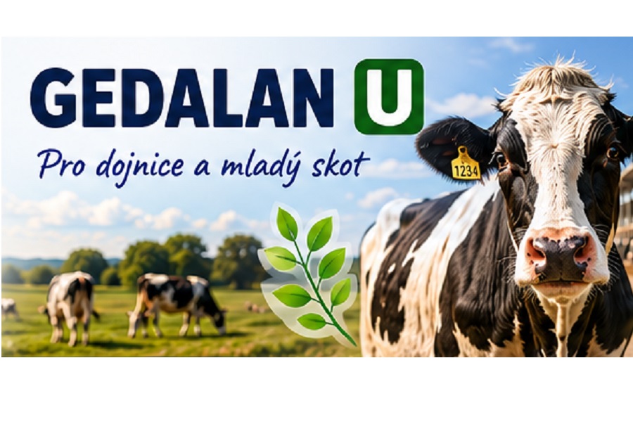 Gedalan a Ing. Aleš Rusek