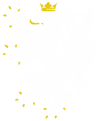 České produkty logo